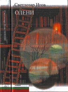 Сергей Галихин - История романа «Кольцо времени»