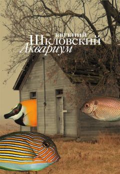 Евгений Петраш - Дневная звезда