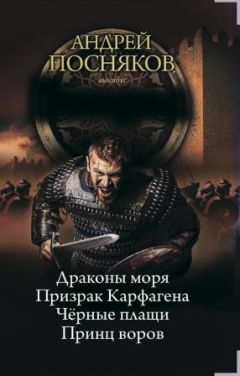 Андрей Посняков - Шпага Софийского дома