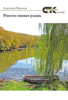 Василий Князев - Камчатские рассказы