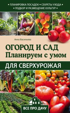 Т. Октябрьская - Как правильно выращивать овощи подзимнего посева