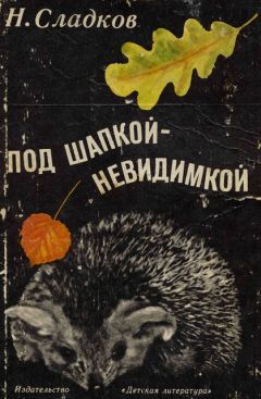 Николай Плавильщиков - «Кто-то» на дереве