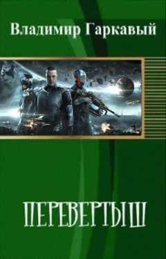 Владимир Поселягин - Крыс-1.
