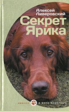 Алексей Вязовский - Император из будущего: эпоха завоеваний