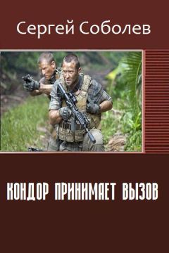 Сергей Соболев - Кондор принимает вызов