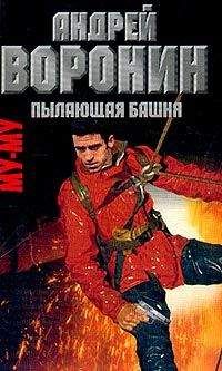 Андрей Воронин - Сквозь огонь и воду