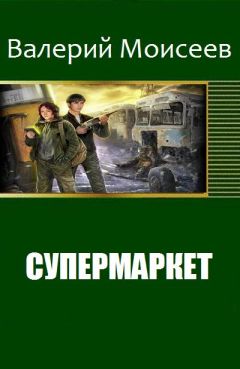 Ищенко Владимирович - Выброшенный в другой мир. Дилогия