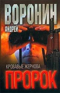 Андрей Воронин - Ордер на возмездие