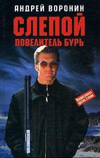 Андрей Воронин - Слепой. Кровь сталкера
