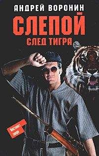 Андрей Воронин - Сквозь огонь и воду