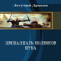 Дмитрий Летучий - Двенадцать подвигов нуба (СИ)