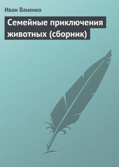 Юзеф Крашевский - Король в Несвиже (сборник)