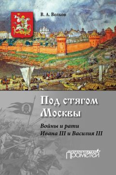 Владимир Волков - Войны и дружины древней Руси