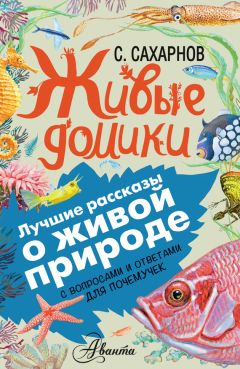 Святослав Сахарнов - Гак и Буртик в стране бездельников