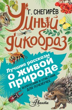 Лев Толстой - Мильтон и Булька. С вопросами и ответами для почемучек