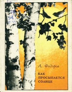 Николай Коротеев - По ту сторону костра