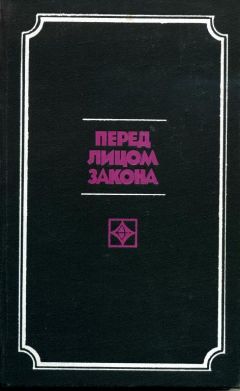 Владимир Бабула - Пульс бесконечности