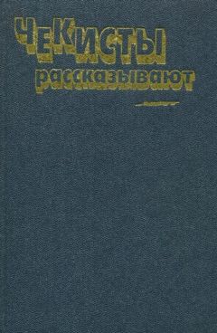 Владимир Востоков - Тень фирмы «Блиц»