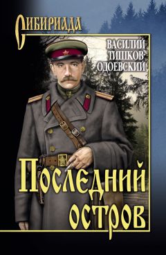 Валерий Поволяев - Командир Гуляй-Поля