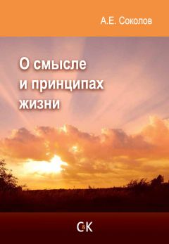 Владимир Макарцев - Война за справедливость, или Мобилизационные основы социальной системы России