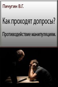 Виталий Пичугин - Безопасность бизнеса. Защита от уголовного преследования