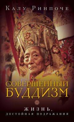 Туптен Джинпа - Храброе сердце. Как сочувствие может преобразить вашу жизнь