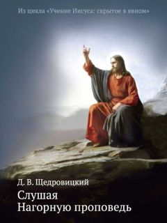 Дмитрий Щедровицкий - Слушая Нагорную проповедь