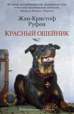 Эдвард Резерфорд - Ирландия
