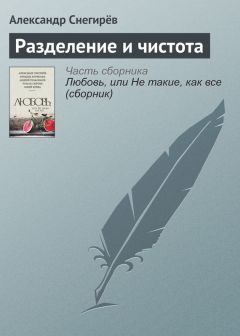 Александр Снегирёв - Разделение и чистота