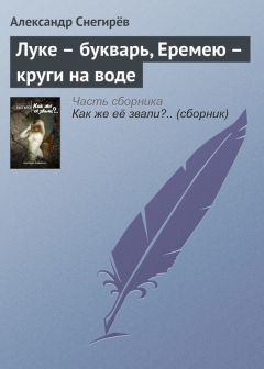 Александр Снегирёв - Луке – букварь, Еремею – круги на воде