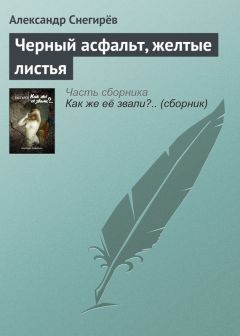 Александр Снегирёв - Моя борьба