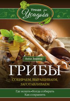 Анна Зорина - Лучшие блюда из грибов