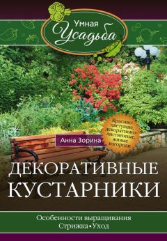 Анна Зорина - Декоративные кустарники