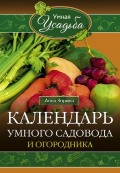 Анна Зорина - Помидоры, огурцы