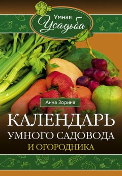 Василий Борщ - Огород круглый год: календарь огородника