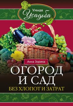 Анна Васильева - Огород и сад. Планируем с умом для сверхурожая