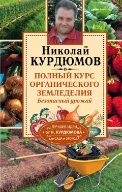 Николай Курдюмов - Новейшая энциклопедия огородника