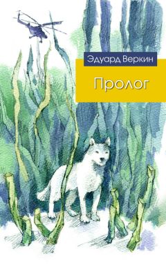 Эдуард Веркин - Звездолет с перебитым крылом