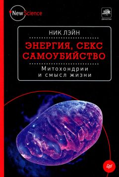 Н. Абдуллаев - Экологическая парадигма современного экономического развития в сфере окружающей среды. Синергетический подход