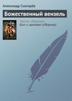 Александр Снегирёв - Бил и целовал (сборник)