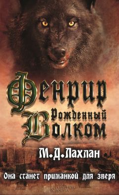 Джозеф Финк - Добро пожаловать в Найт-Вэйл