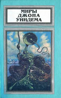 Джон Уиндем - Том 3. Зов пространства. Во всем виноват лишайник