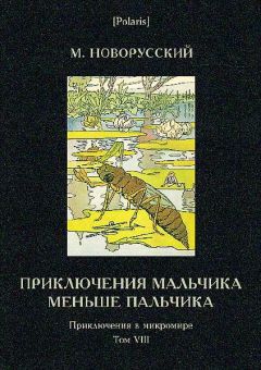 Елена Нестерова - Волшебные миры Анфазии Эн