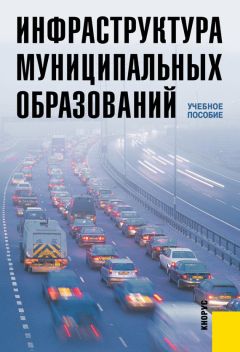 Раиса Савкина - Система государственного регулирования финансово-экономических процессов в вузах в современных условиях. Монография