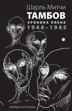 Михаил Поликарпов - Донбасс. От Славянска до Дебальцево. Хроники, записанные кровью. Окопная правда гражданской войны