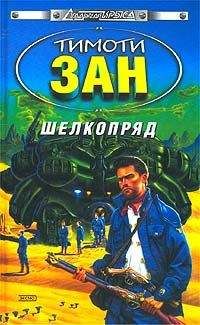 Тимоти Зан - Охота на «Икара»