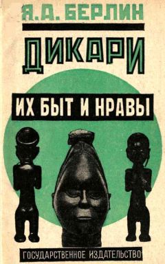 Александр Томчин - Германия без вранья