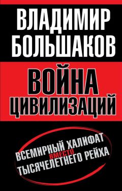 Владимир Большаков - Война цивилизаций. Всемирный халифат вместо тысячелетнего рейха