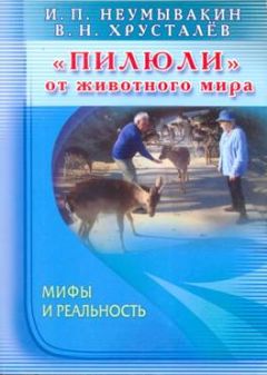 Антонина Соколова - Иван-чай. Лечение организма, лечебные ванны и лечебные маски