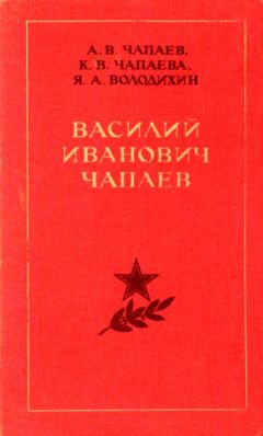 Гордей Щеглов - Год 1863. Забытые страницы